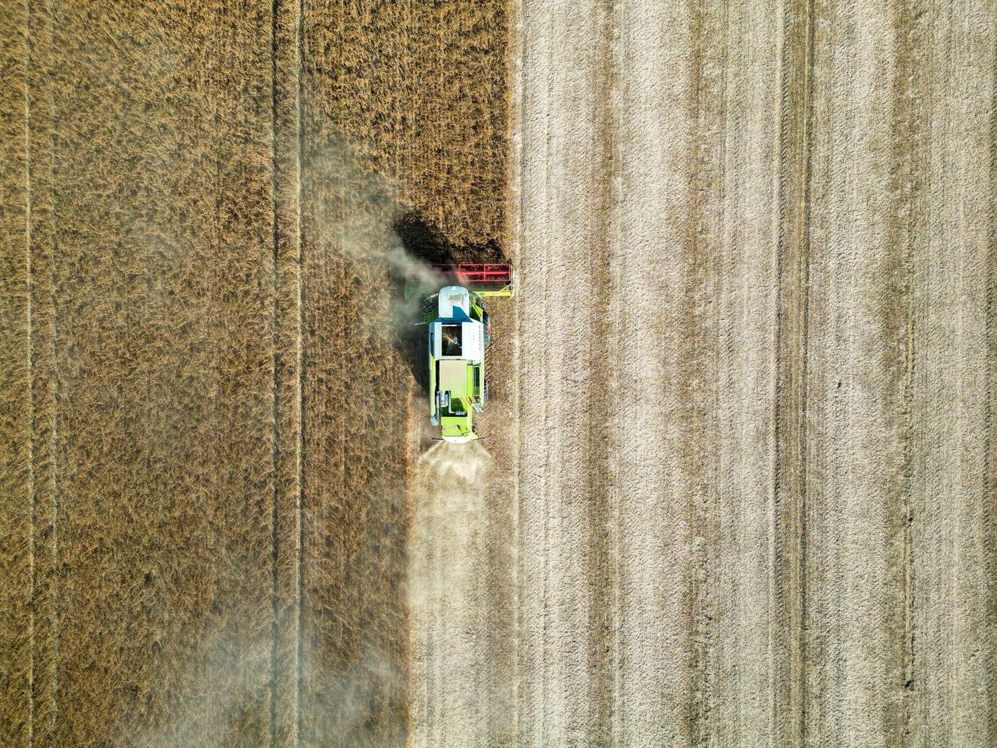 A combine harvester works across a dry, harvested field, raising dust